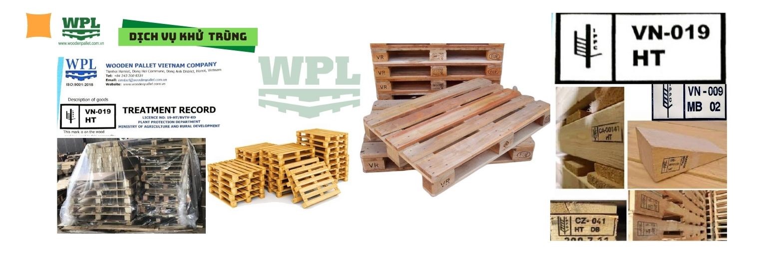 Dịch vụ khử trùng