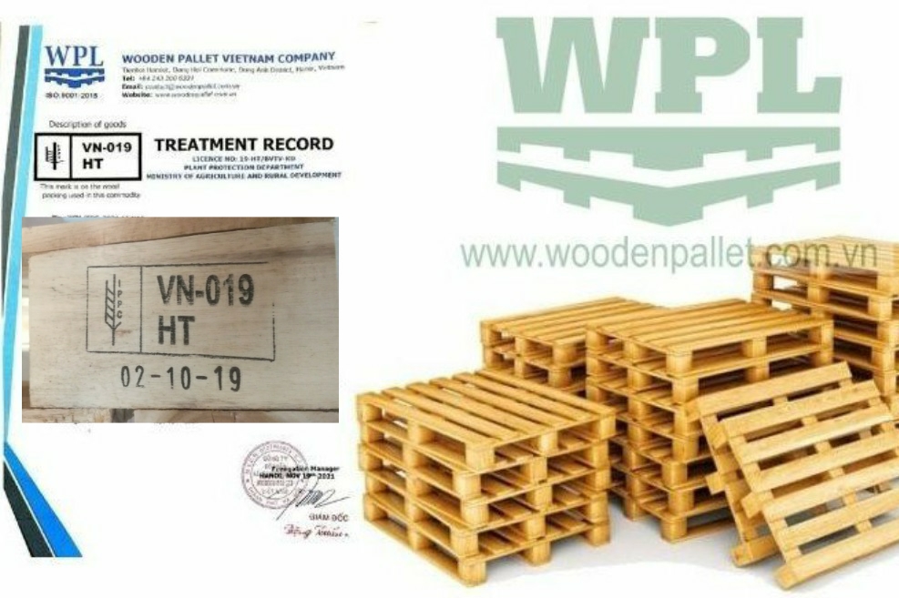 Dịch vụ khử trùng