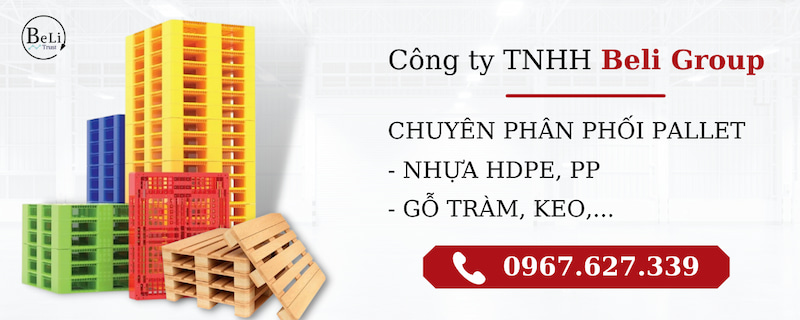 Pallet Miền Bắc