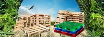 Bí Quyết Bảo Quản Pallet Gỗ Hiệu Quả, Kéo Dài Tuổi Thọ