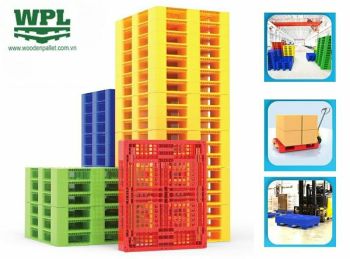 Pallet Miền Bắc