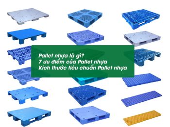 Pallet nhựa là gì? Tìm hiểu về ưu, nhược điểm và kích thước pallet nhựa