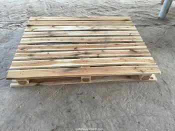 Pine Pallet