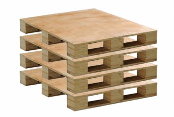 Plywood Pallet