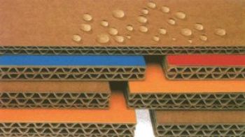 Bao Bì Carton Sóng